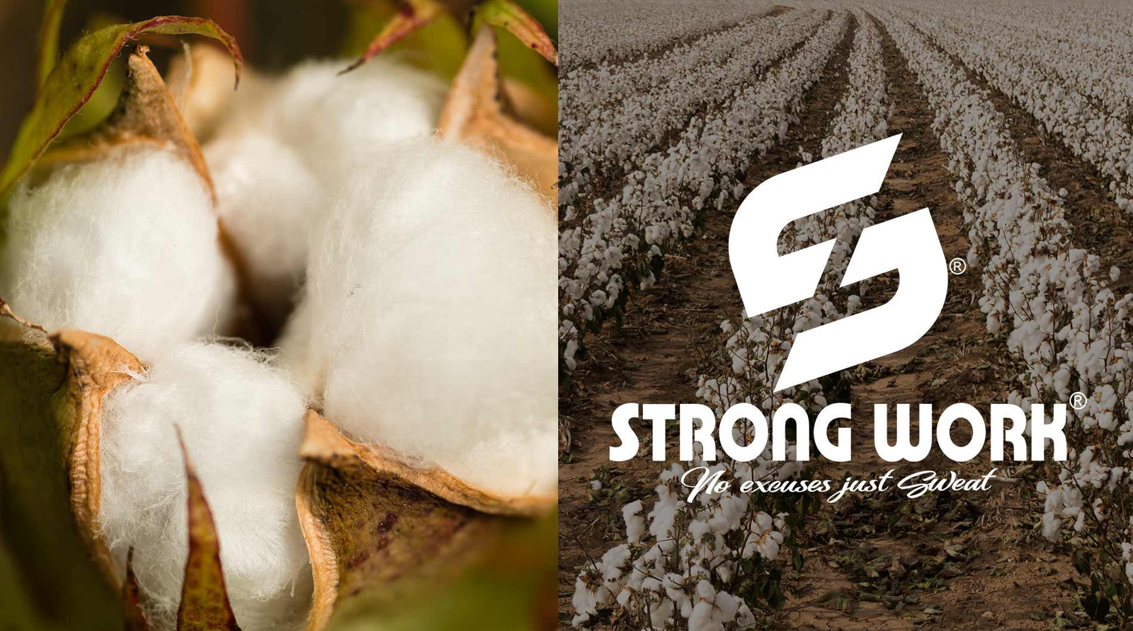 What is organic cotton?